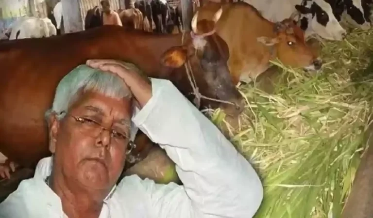 Bihar Chara Ghotala story: चारा था जानवरों के लिए, पर खा गए नेता और अफसर मिलके! जानिए...