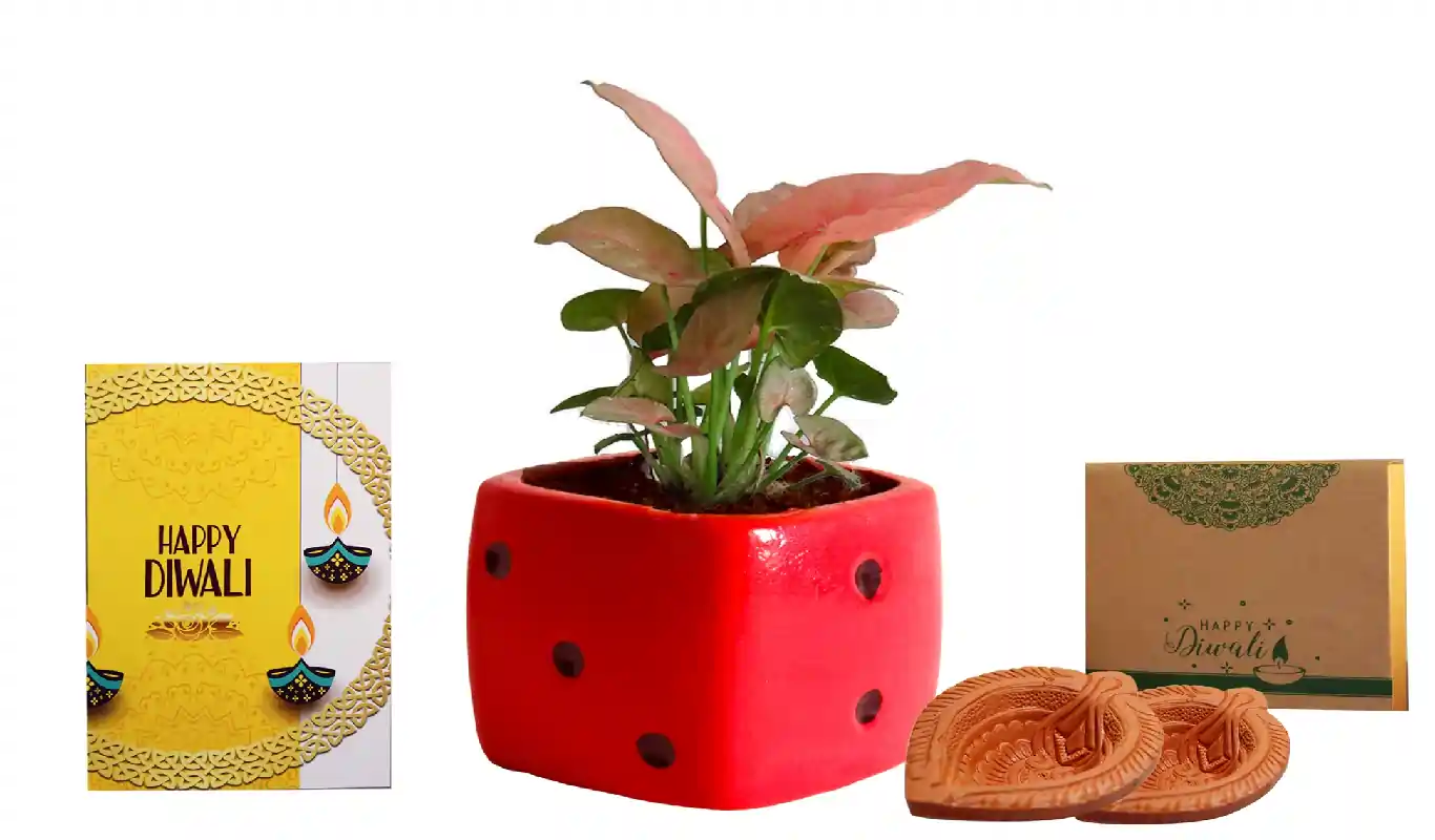 Diwali Indoor Gifts, Diwali Gifts Ideas