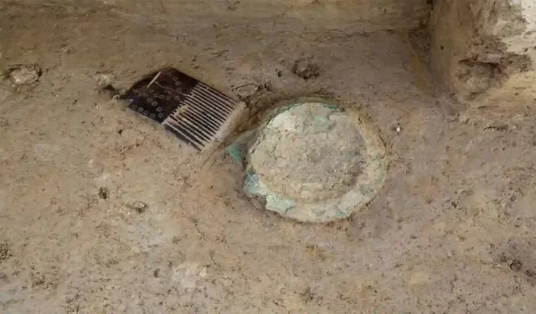 Baghpat News: बागपत के सिसाना गांव में मिली महाभारत कालीन मानव बस्ती, एएसआई ने शुरू क...