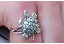 Kachua Ring: कछुए वाली अंगूठी पहनें या न पहनें? ये 4 राशि वालों के लिए है विशेष चेतावनी Kachua Ring