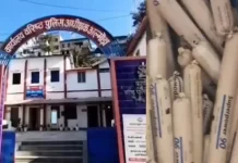 Almora News: गेंद ढूंढते-ढूंढते बच्चों को स्कूल के पास मिला 161 जिलेटिन स्टिक, अल्मोड़ा में बरामद 20 किलो विस्फोटक Almora News