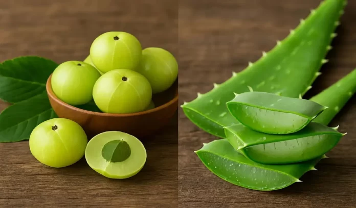 Amla and Aloevera, Amla and Aloevera Benefits