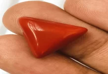 लाल रत्न का कमाल! जो देगा आपको करियर में जबरदस्त उछाल, जानें कौन सा है ये नगीना Coral moonga, Coral moonga for career growth