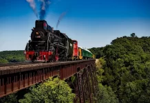 Indian slowest train: साइकिल भी निकाल जाए आगे, फिर भी इस ट्रेन की है जबरदस्त डिमांड! दुनिया की सबसे स्लो ट्रेन की कहानी Indian slowest train