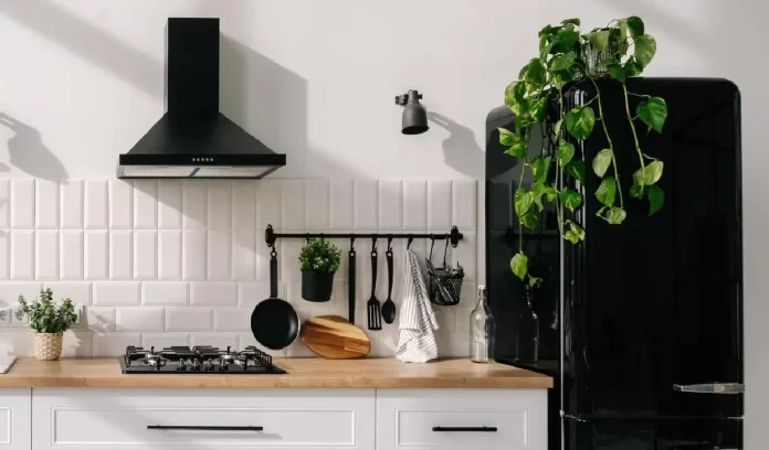 Do not put this in the refrigerator Do not put this in the refrigerator