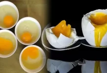 Fake egg viral video: सोशल मीडिया पर वायरल नकली अंडों का वीडियो, जानें असली और नकली अंडे की पहचान के तरीके Fake egg viral video